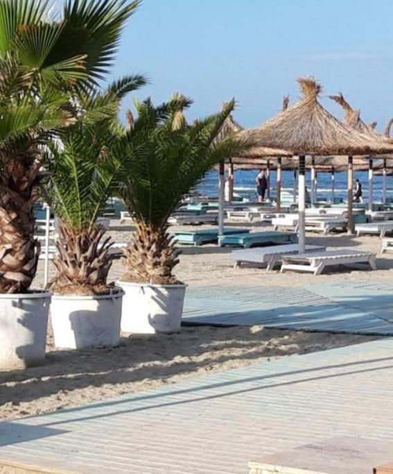 Alezzy Beach Apartament Prima Linie La Mare Năvodari Zewnętrze zdjęcie