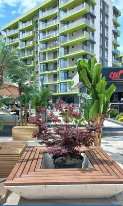 Alezzy Beach Apartament Prima Linie La Mare Năvodari Zewnętrze zdjęcie